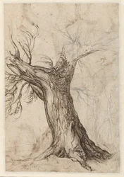 Albero di castagno con alcuni alberi intorno