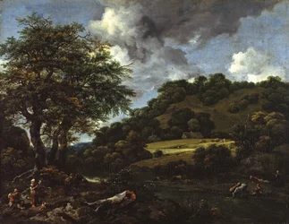Un paesaggio collinare con querce alte