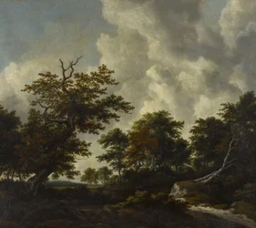 Paesaggio boschereccio con una grande quercia e due faggi caduti vicino a una cascata
