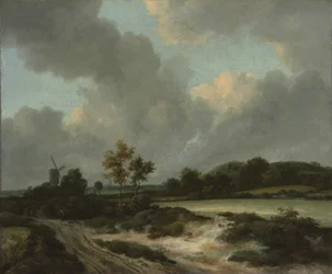 Campi di grano