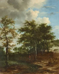 Paesaggio con alberi alti