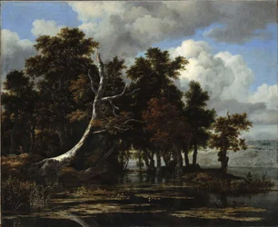 Querce a un lago con ninfee