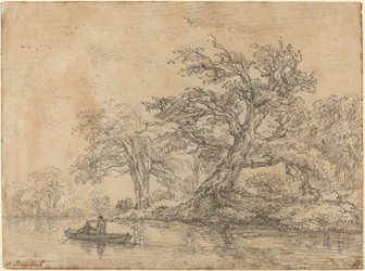 Vecchi alberi lungo una riva