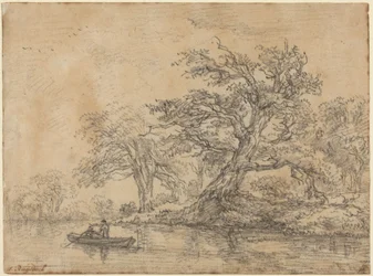 Vecchi alberi lungo una riva