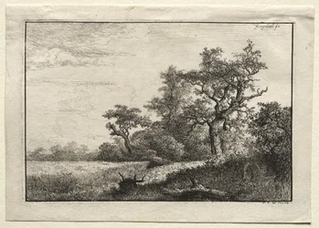 Il campo di grano