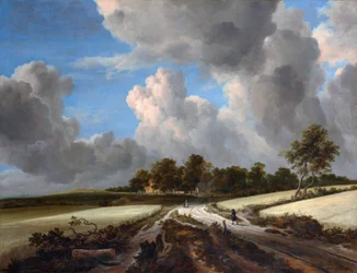 Campi di grano