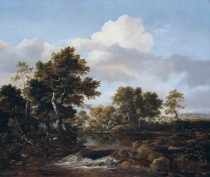 Paesaggio boscoso con ruscello