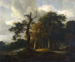 Sentieri del bosco di querce