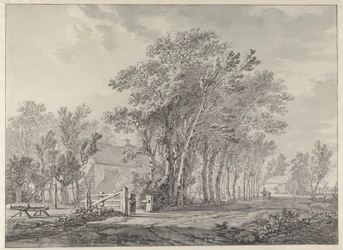 Un viale con alberi alti