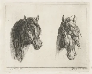 Due teste di cavallo