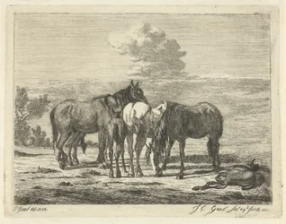 Quattro cavalli e due puledri