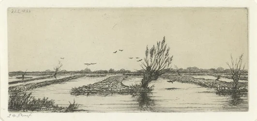 Lago di torbiera