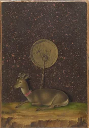 Ritratto di Alvise Contarini(); (verso) Un capriolo legato