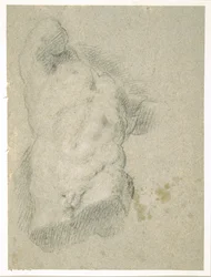 Disegno di un torso maschile