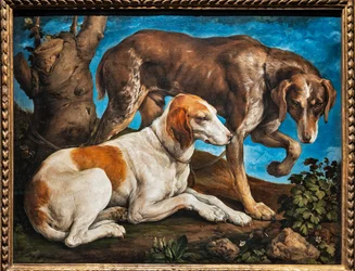 Ritratto di due cani legati a un tronco