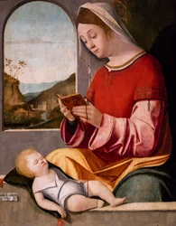 Vergine con Bambino, 1505-1510 circa (olio su legno di pioppo)