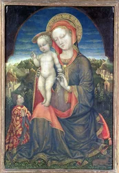 La Madonna dell