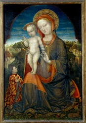 La Vergine dell
