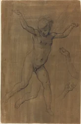 Un Angelo in Volo