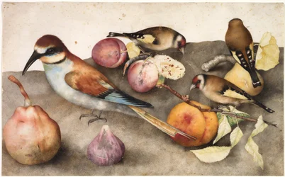 Natura Morta con Uccelli e Frutta, c. 1650