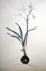 Immagine sconosciuta