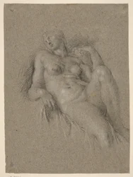 Copia dell