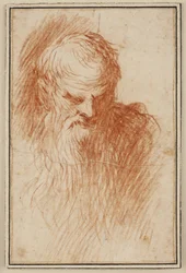 Testa di uomo barbuto