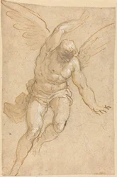 Un Angelo Volante