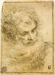 Testa di Vecchio Barbuto (recto); Schizzo Decorativo di Fiore e Foglie (verso)
