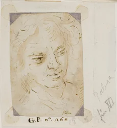 Testa di un uomo