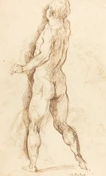 Uomo nudo visto da dietro [verso]