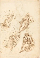 Studi per un