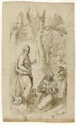 Visione di San Francesco d
