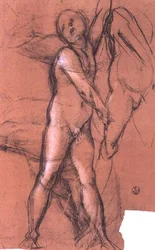 Studio di un angelo che tiene una tenda per la 