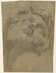 Giuliano dei Medici dopo Michelangelo, c.1550