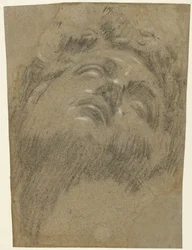 Testa di Giuliano dei Medici