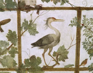 Ibis, da un affresco di un aviario nella Villa Medici, c.1576-77
