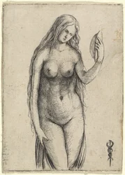 Donna nuda che tiene uno specchio Allegoria della Vanitas, c. 1503-1504
