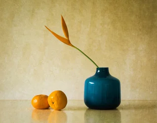 Fiori tropicali e arance