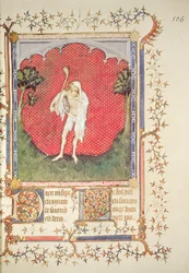 Fr 13091 f.106 Il folle, dal 