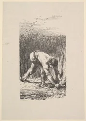 Il mietitore, 1853