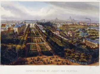 Vista del Jardin des Plantes - litografia di Testard