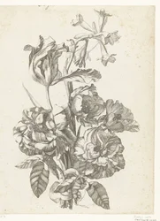 Bouquet con peonie, un tulipano e una brodiaea