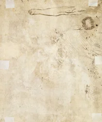 Studio di una gamba, arabesco e scarabocchi, 1610-17
