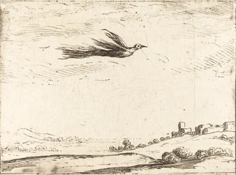 Uccello del paradiso