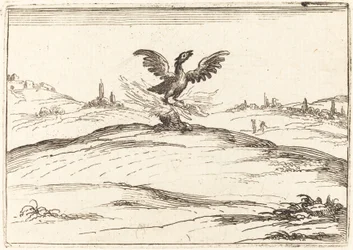 Fenice ardente