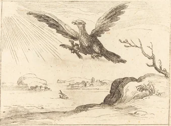 Aquila e giovani