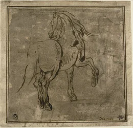 Cavallo, Visto da Tre Quarti dal Retro