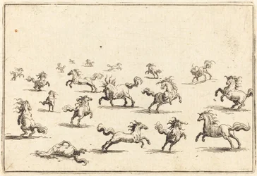 Cavalli al galoppo