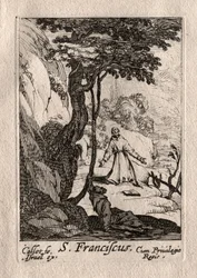 I penitenti: San Francesco